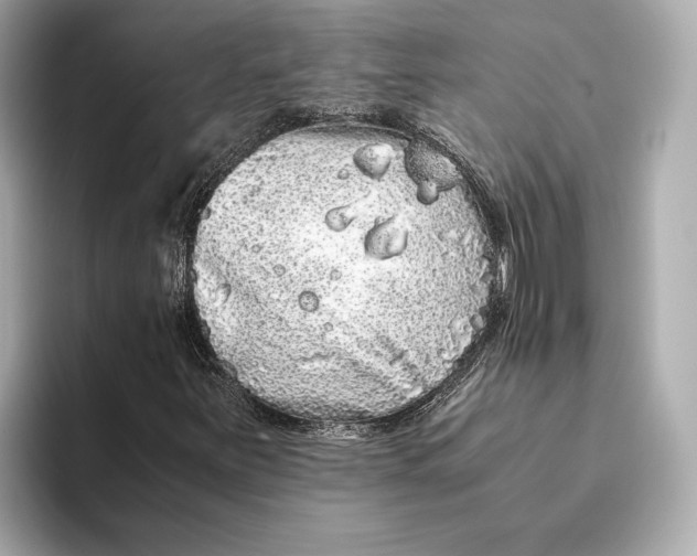 X0000093531251200711021304