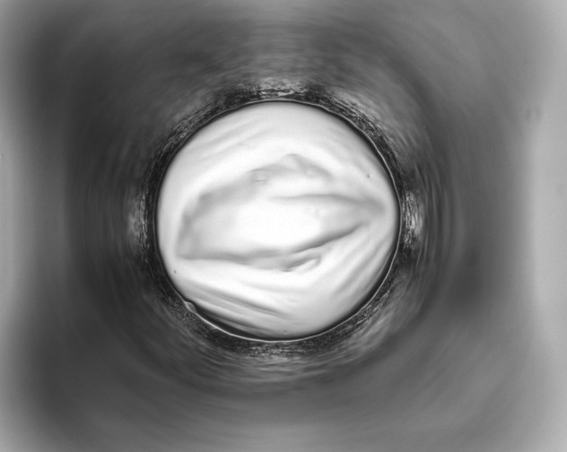 X0000093531252200711021304