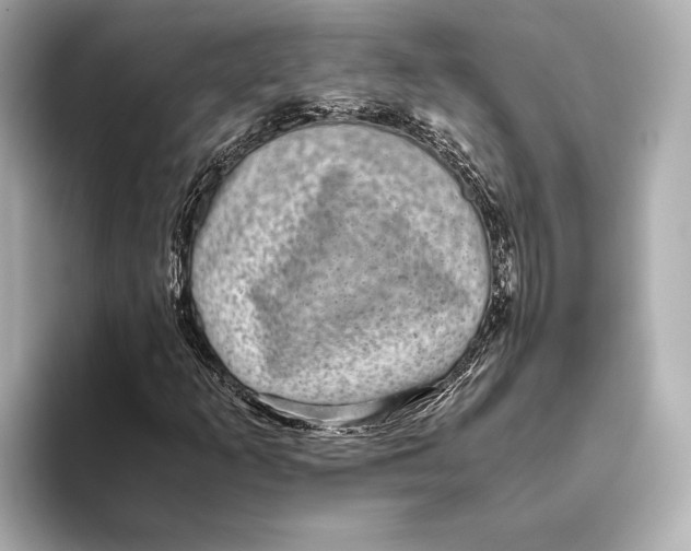 X0000093531253200711021304