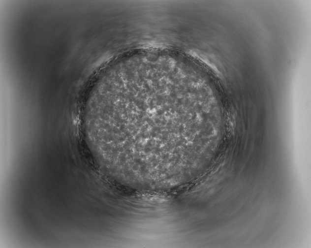 X0000093531254200711021304