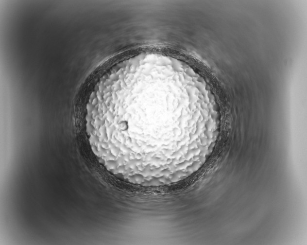 X0000093531255200711021304