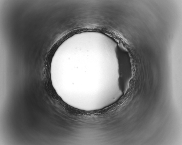 X0000093531256200711021304