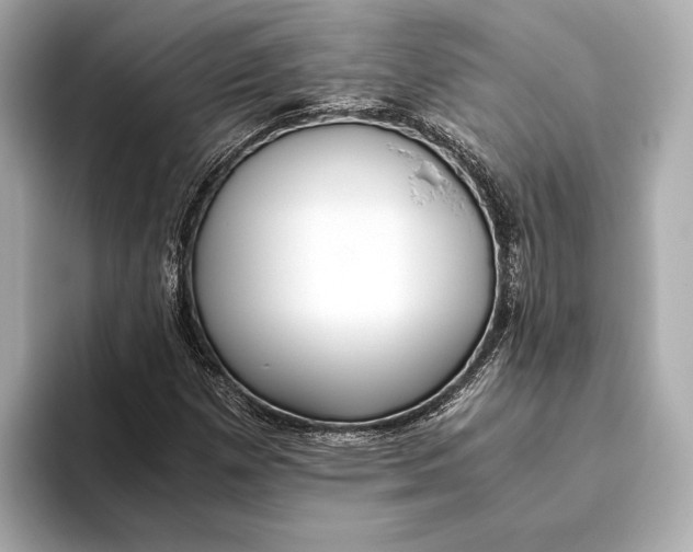 X0000093531257200711021304