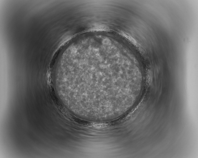 X0000093531258200711021304