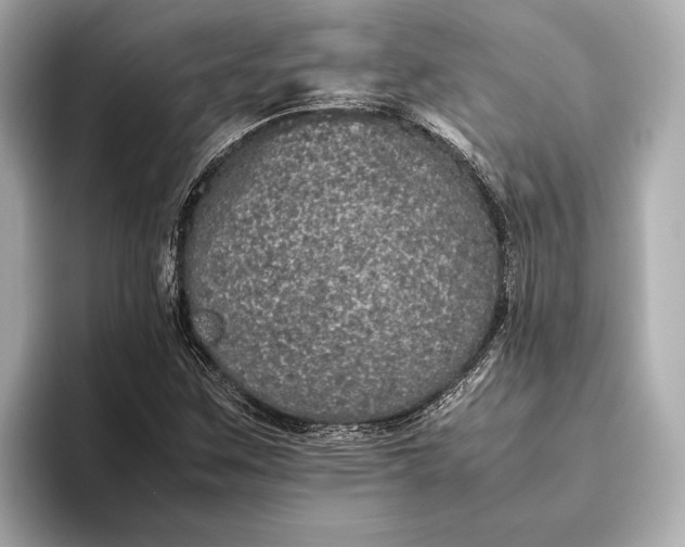 X0000093531259200711021304