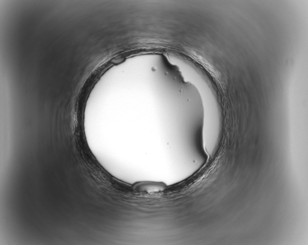 X0000093531261200711021304