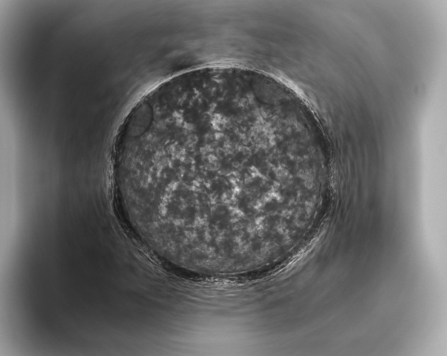 X0000093531263200711021304