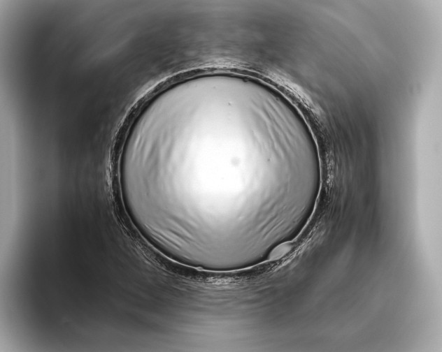 X0000093531264200711021304