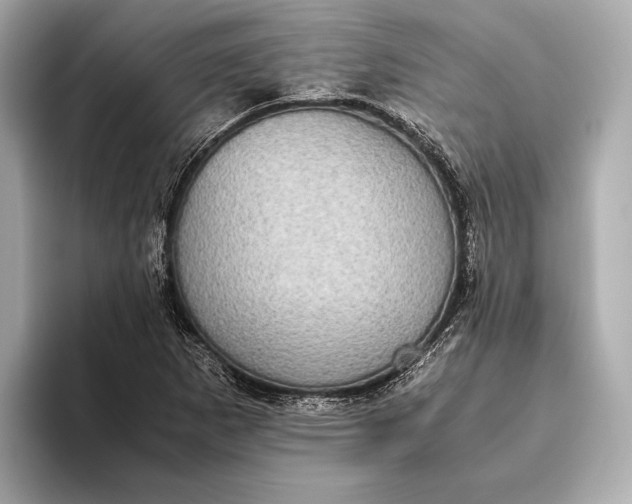 X0000093531265200711021304