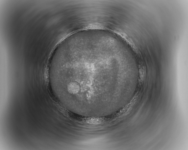 X0000093531266200711021304