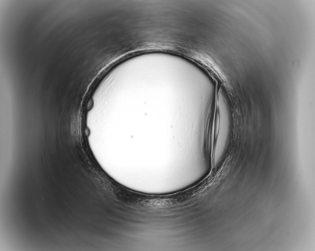 X0000093531268200711021304