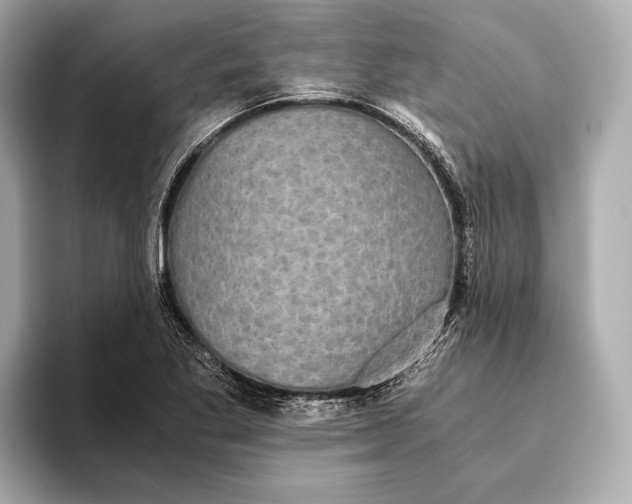 X0000093531269200711021304