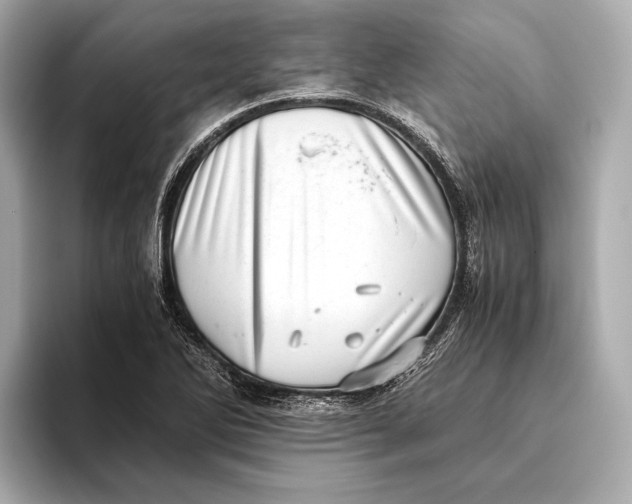 X0000093531270200711021304