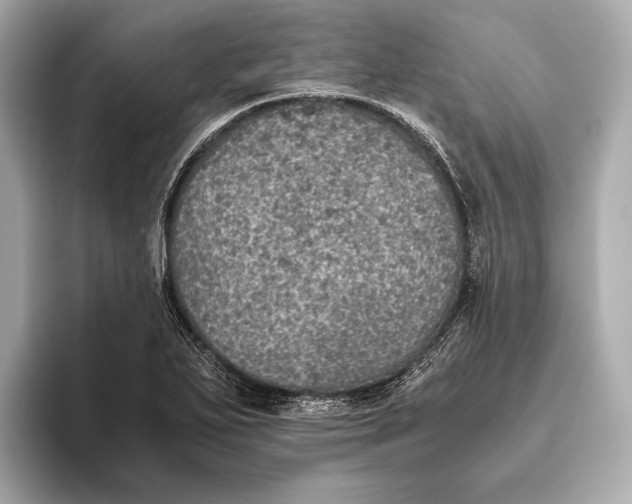 X0000093531271200711021304