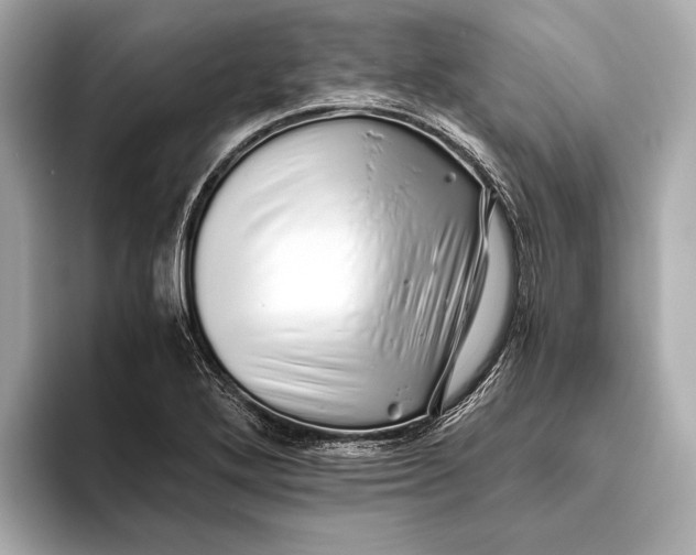 X0000093531272200711021304