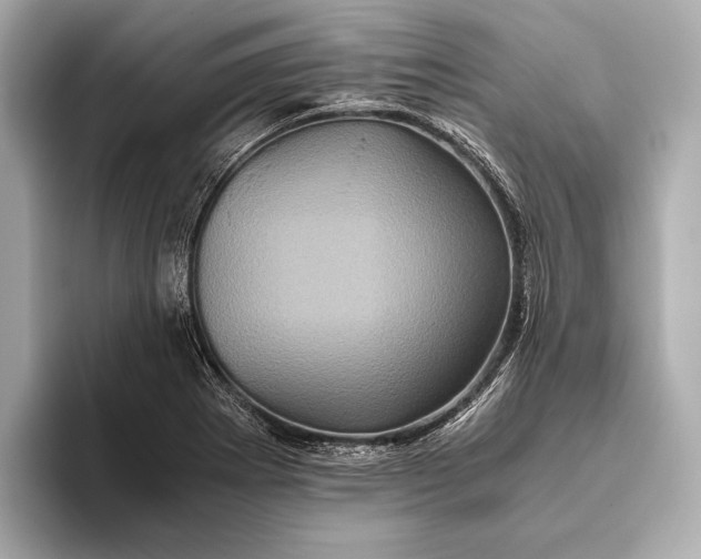 X0000093531273200711021304