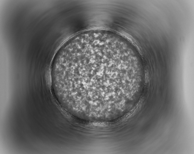 X0000093531274200711021304