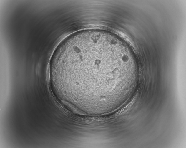 X0000093531275200711021304