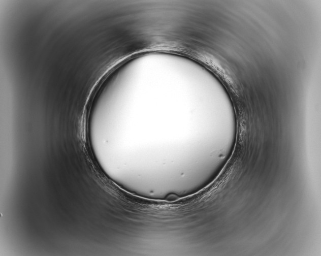 X0000093531276200711021304