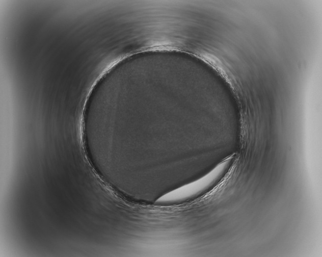 X0000093531277200711021304