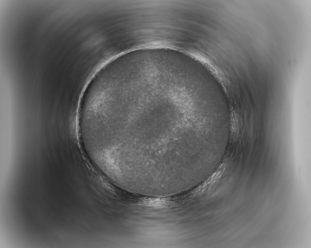 X0000093531278200711021304