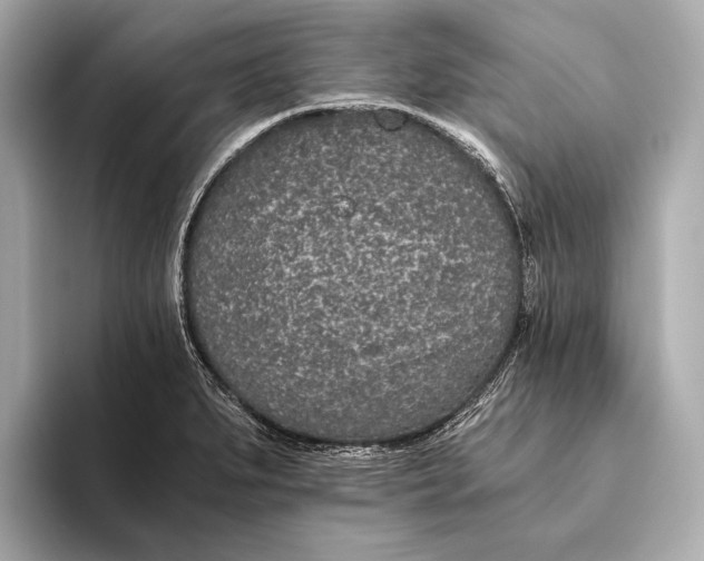 X0000093531279200711021304