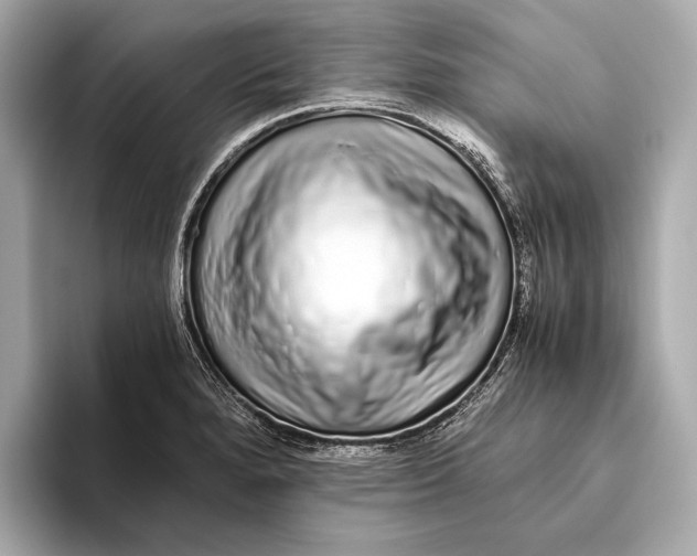 X0000093531280200711021304