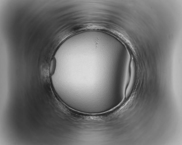 X0000093531281200711021304