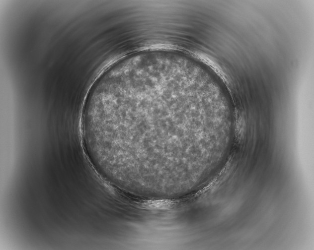 X0000093531282200711021304