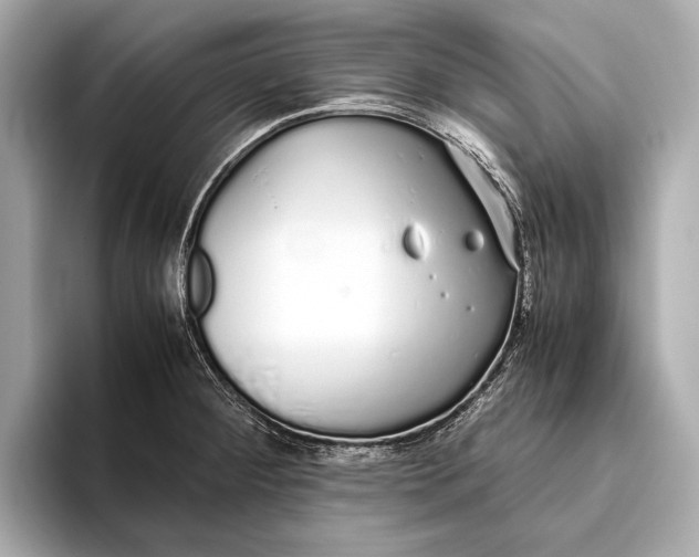 X0000093531284200711021304