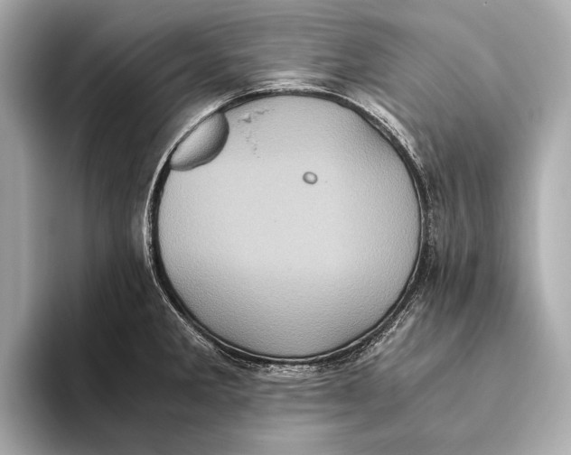 X0000093531285200711021304