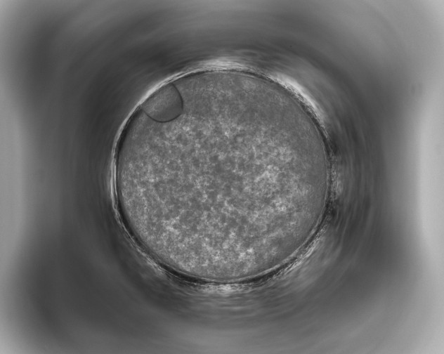 X0000093531286200711021304