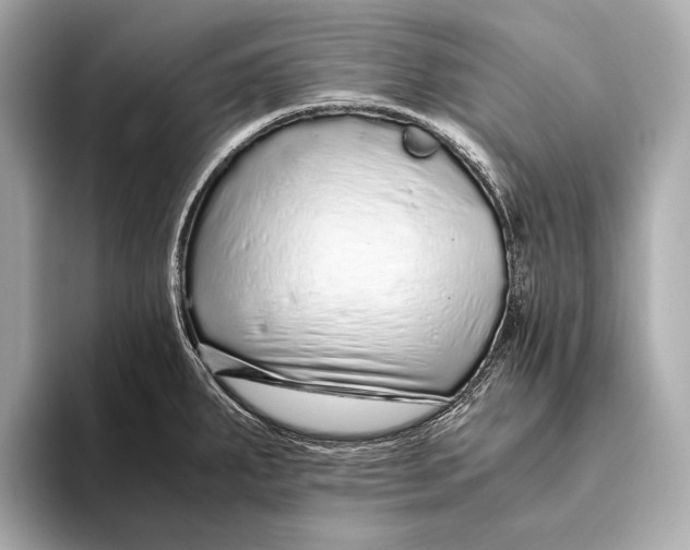 X0000093531287200711021304