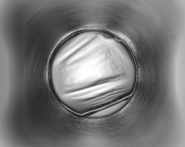 X0000093531288200711021304