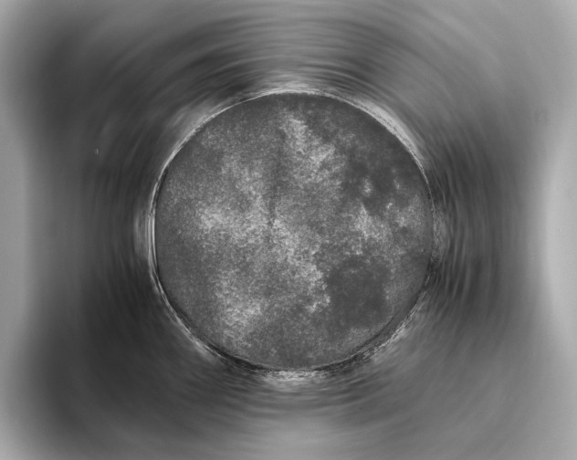 X0000093531290200711021304