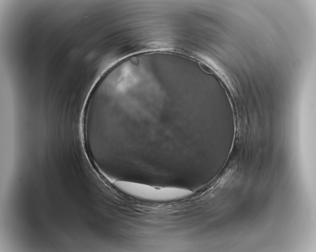 X0000093531291200711021304