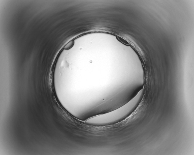 X0000093531292200711021304