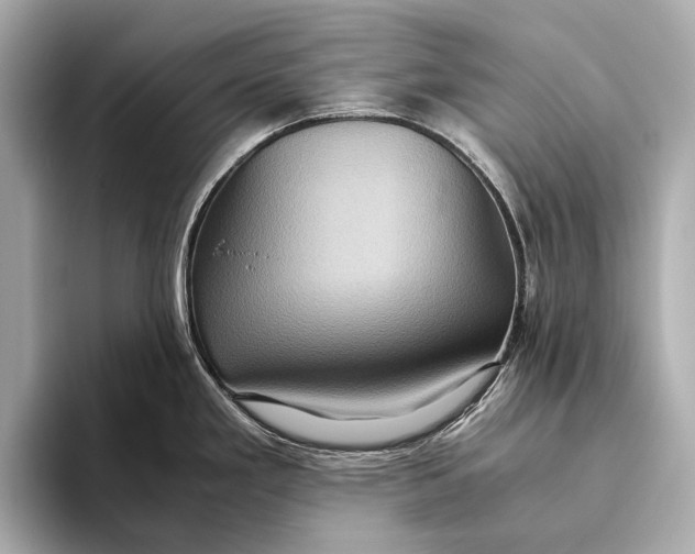 X0000093531293200711021304