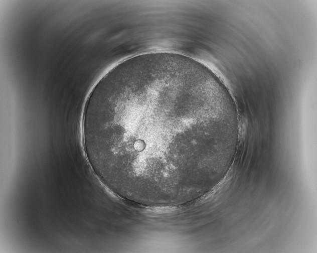 X0000093531294200711021304