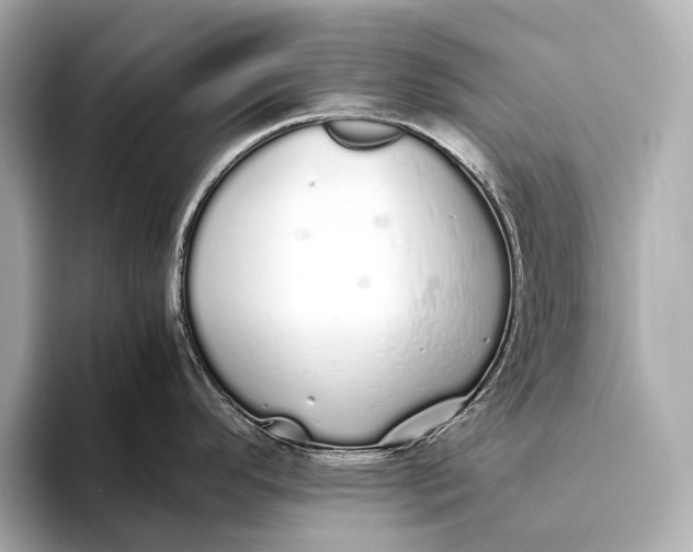 X0000093531296200711021304