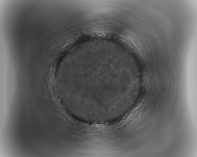 X0000093531297200711021303