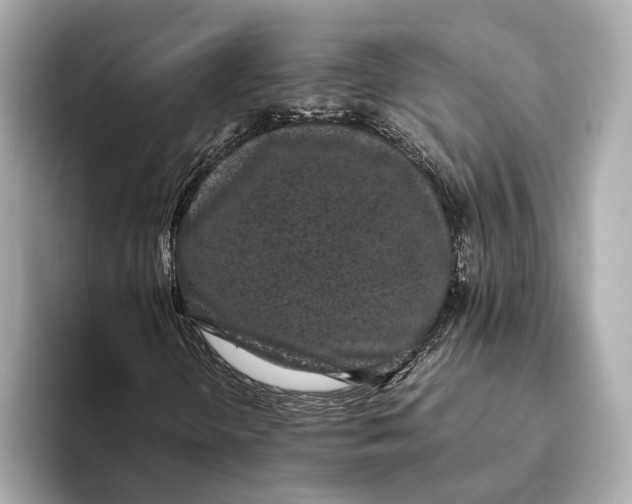 X0000093531298200711021303