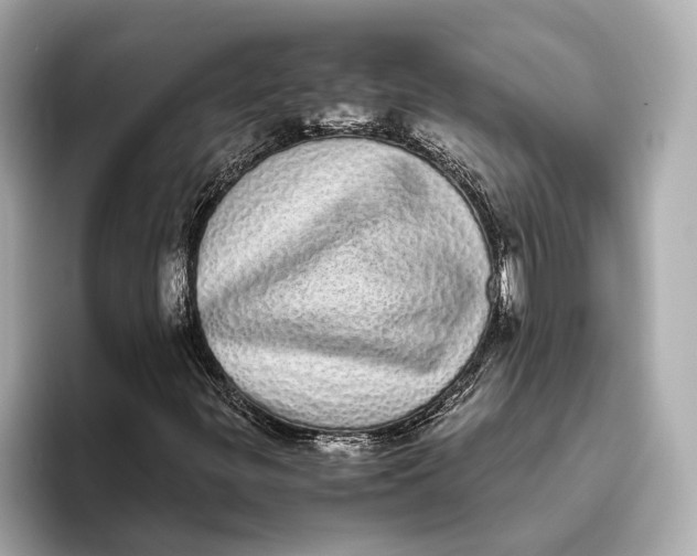 X0000093531299200711021303