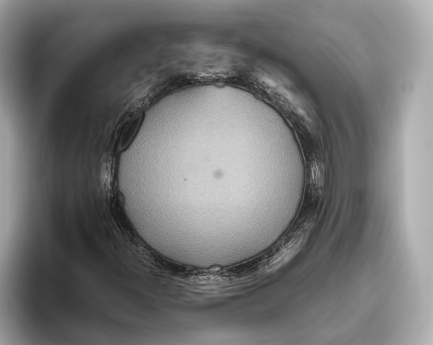 X0000093531300200711021303