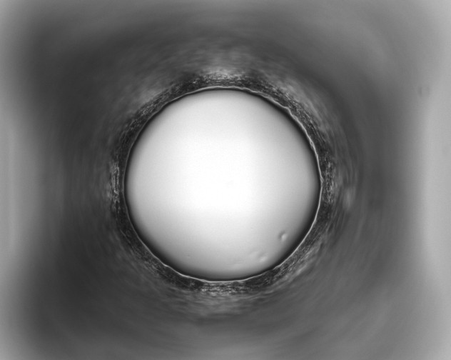 X0000093531301200711021303