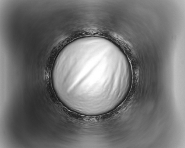 X0000093531302200711021303