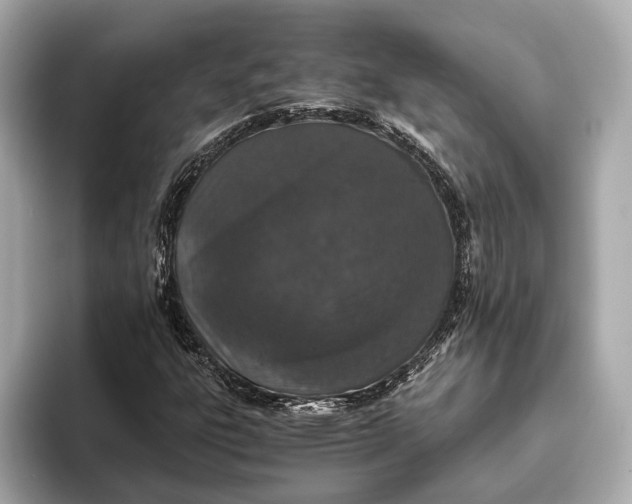 X0000093531303200711021303