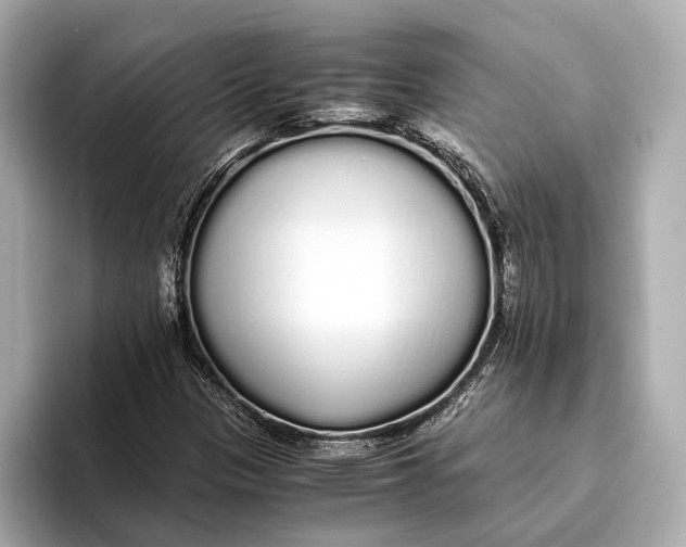 X0000093531305200711021303