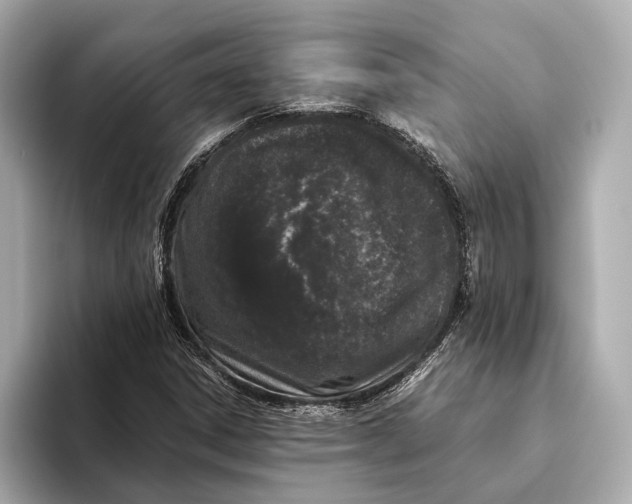 X0000093531306200711021303