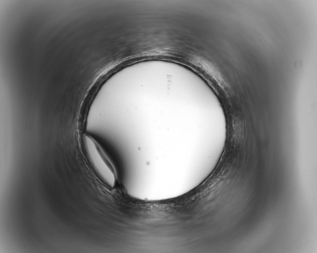 X0000093531308200711021303